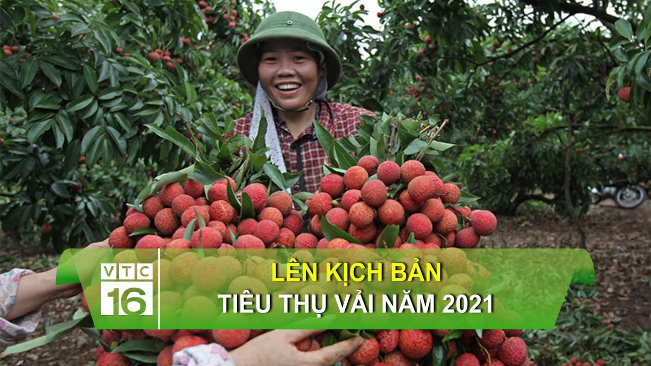 Hotspot Matrix – Kết thúc hành trình 3 ngày rực rỡ tại SECC 2025_Ý tưởng sáng tạo nội dung