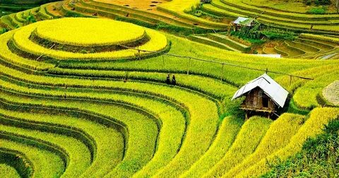 Hotspot Matrix và La Vie ra mắt cộng đồng “Yên một chút” - đóng góp thêm “Chút yên vì_Viết chuẩn nội dung SEO